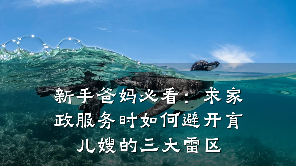 新手爸妈必看：求家政服务时如何避开育儿嫂的三大雷区