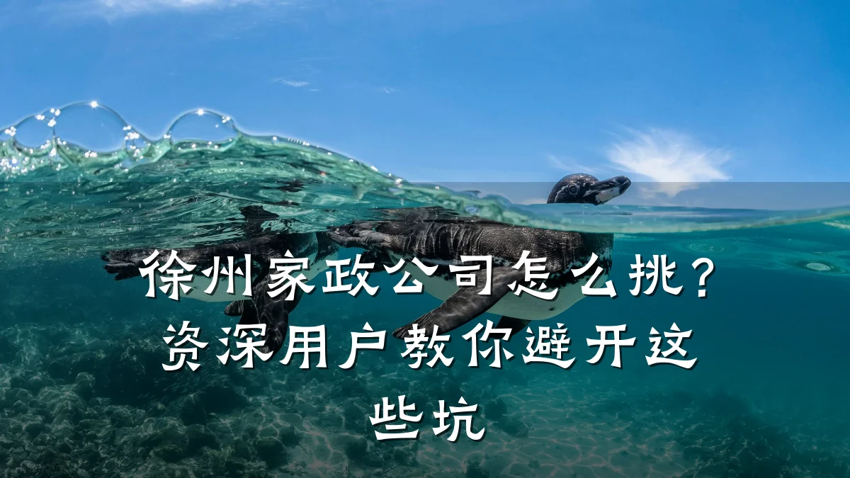 徐州家政公司怎么挑?资深用户教你避开这些坑