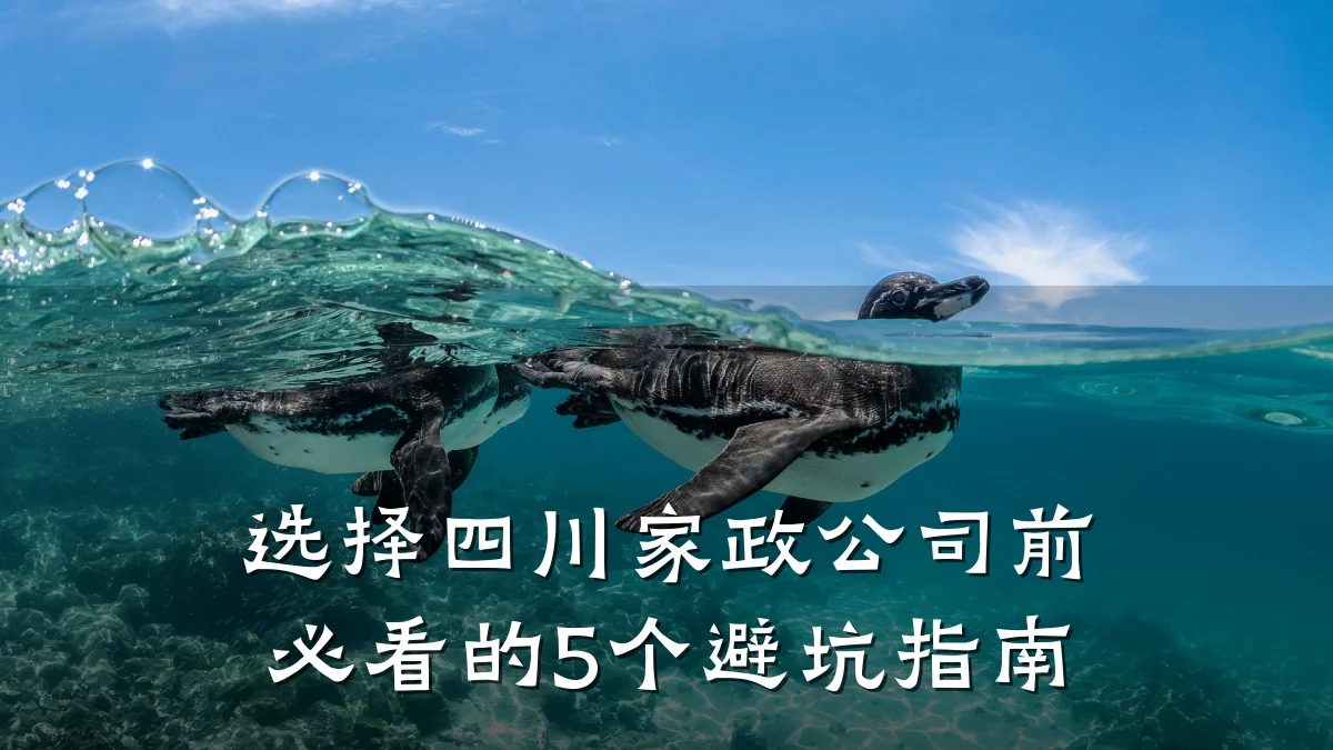 选择四川家政公司前必看的5个避坑指南