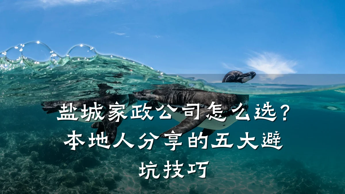 盐城家政公司怎么选?本地人分享的五大避坑技巧