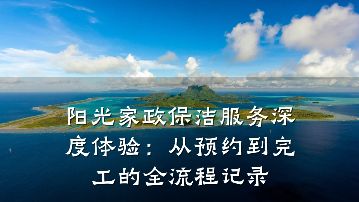 阳光家政保洁服务深度体验:从预约到完工的全流程记录