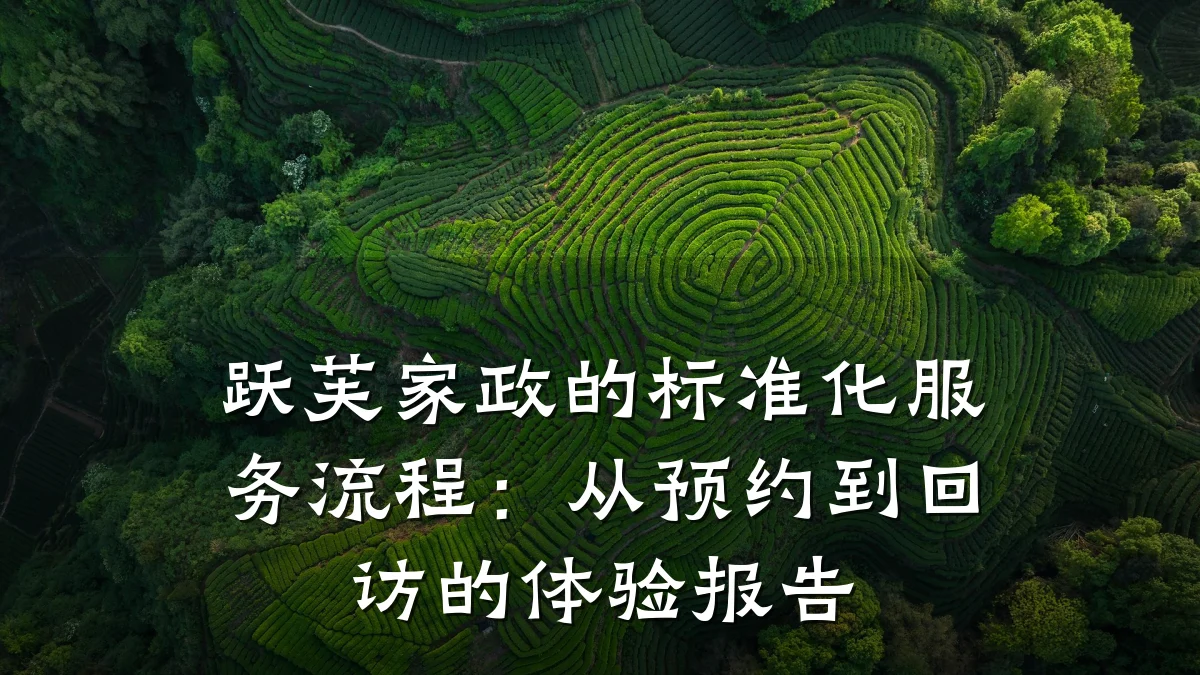 跃芙家政的标准化服务流程:从预约到回访的体验报告