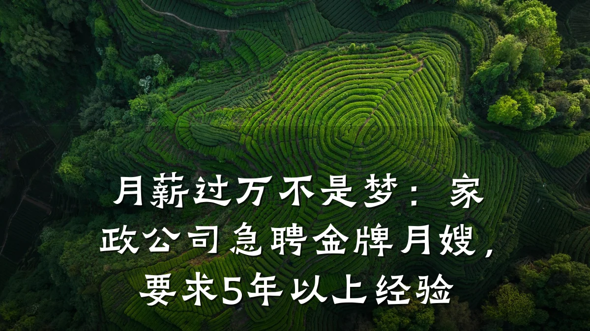 月薪过万不是梦：家政公司急聘金牌月嫂，要求5年以上经验