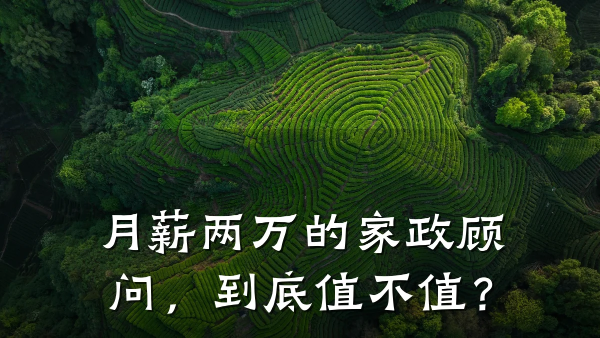 月薪两万的家政顾问,到底值不值?
