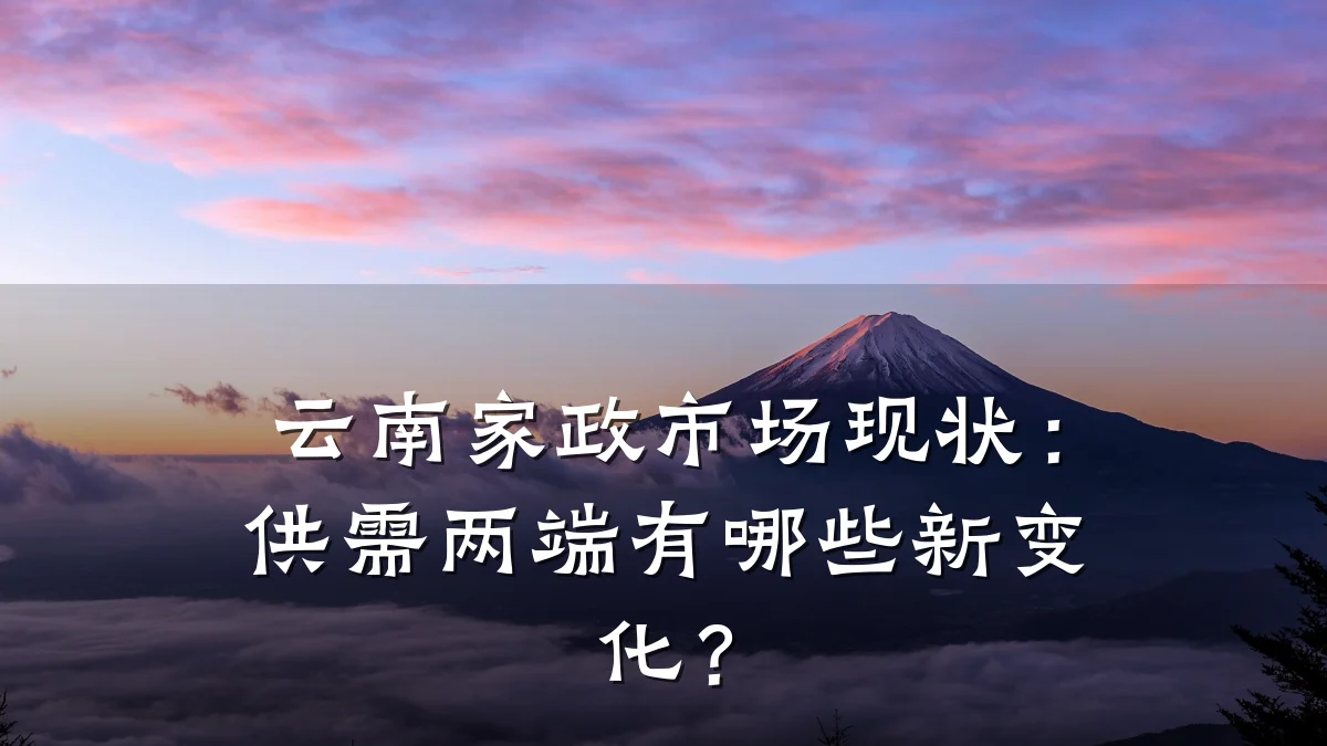 云南家政市场现状:供需两端有哪些新变化?
