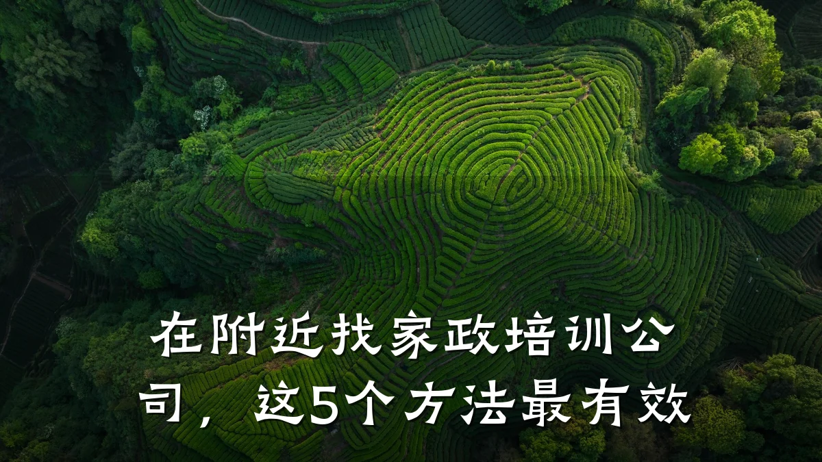 在附近找家政培训公司,这5个方法最有效