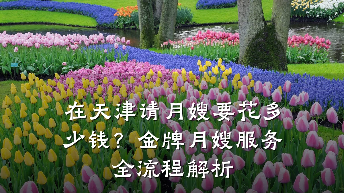在天津请月嫂要花多少钱?金牌月嫂服务全流程解析