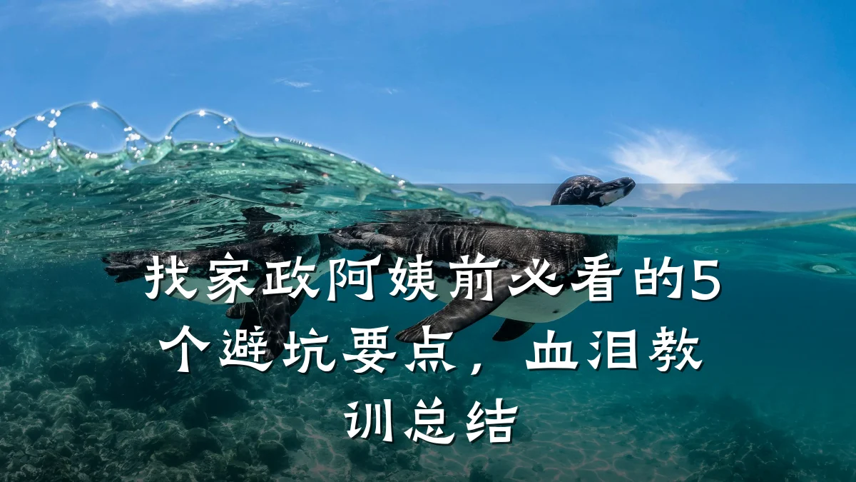 找家政阿姨前必看的5个避坑要点,血泪教训总结
