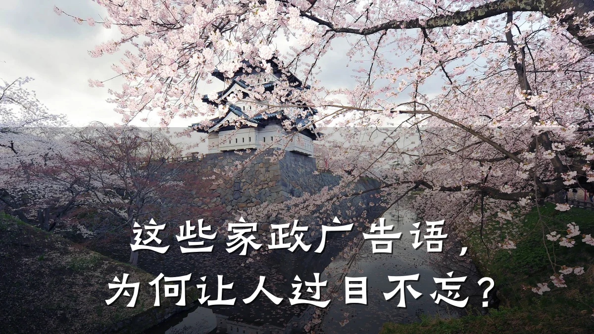 这些家政广告语,为何让人过目不忘?