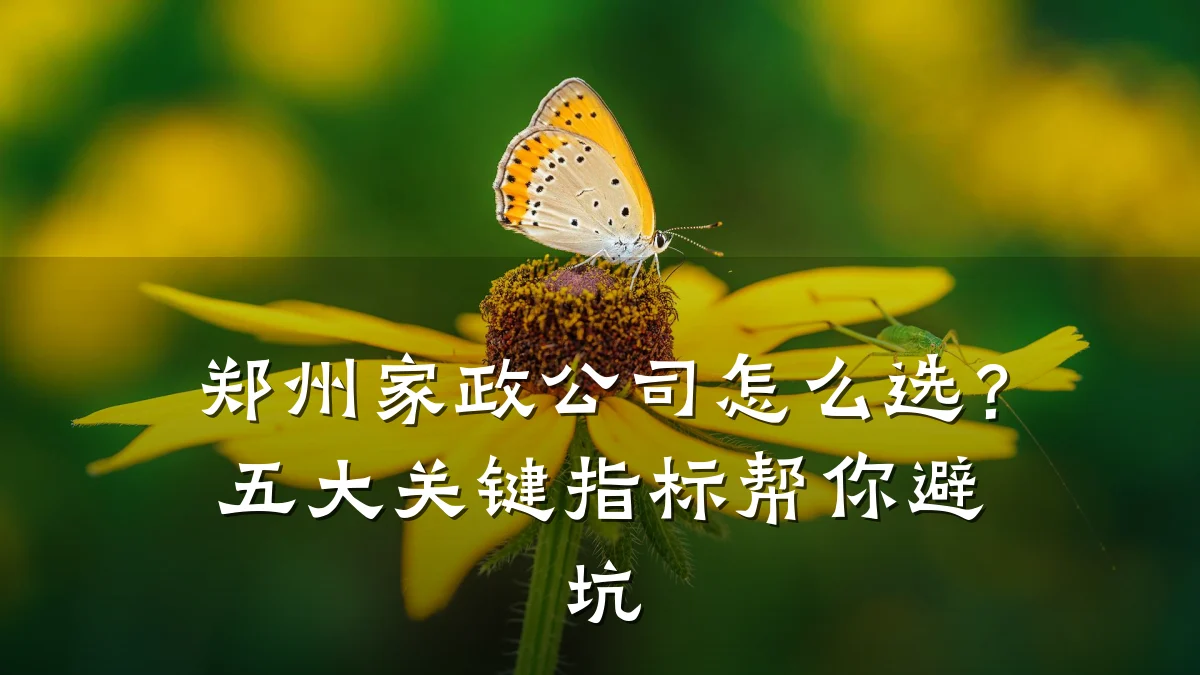 郑州家政公司怎么选?五大关键指标帮你避坑
