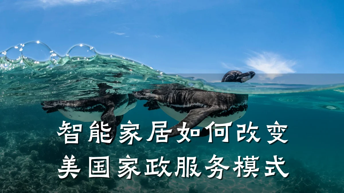 智能家居如何改变美国家政服务模式