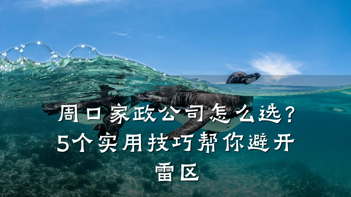 周口家政公司怎么选？5个实用技巧帮你避开雷区