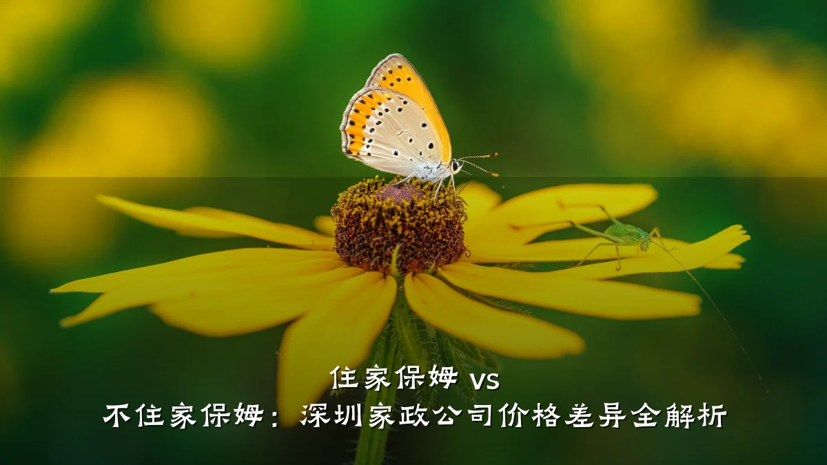 住家保姆 vs 不住家保姆:深圳家政公司价格差异全解析