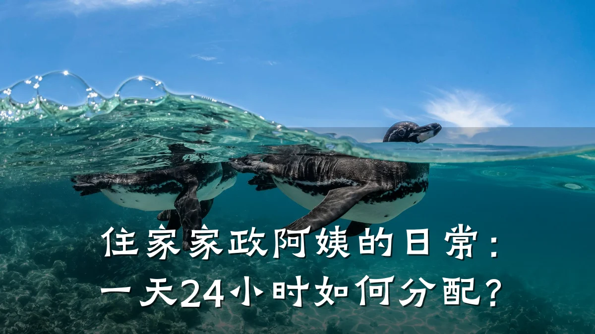 住家家政阿姨的日常：一天24小时如何分配？