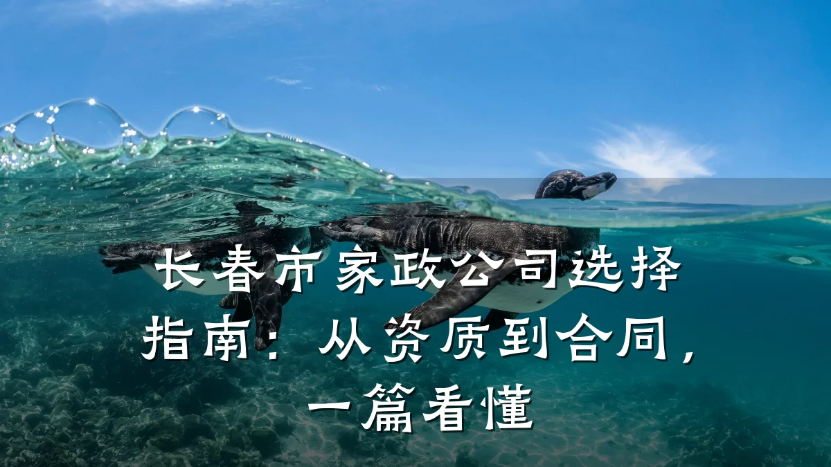 长春市家政公司选择指南：从资质到合同，一篇看懂
