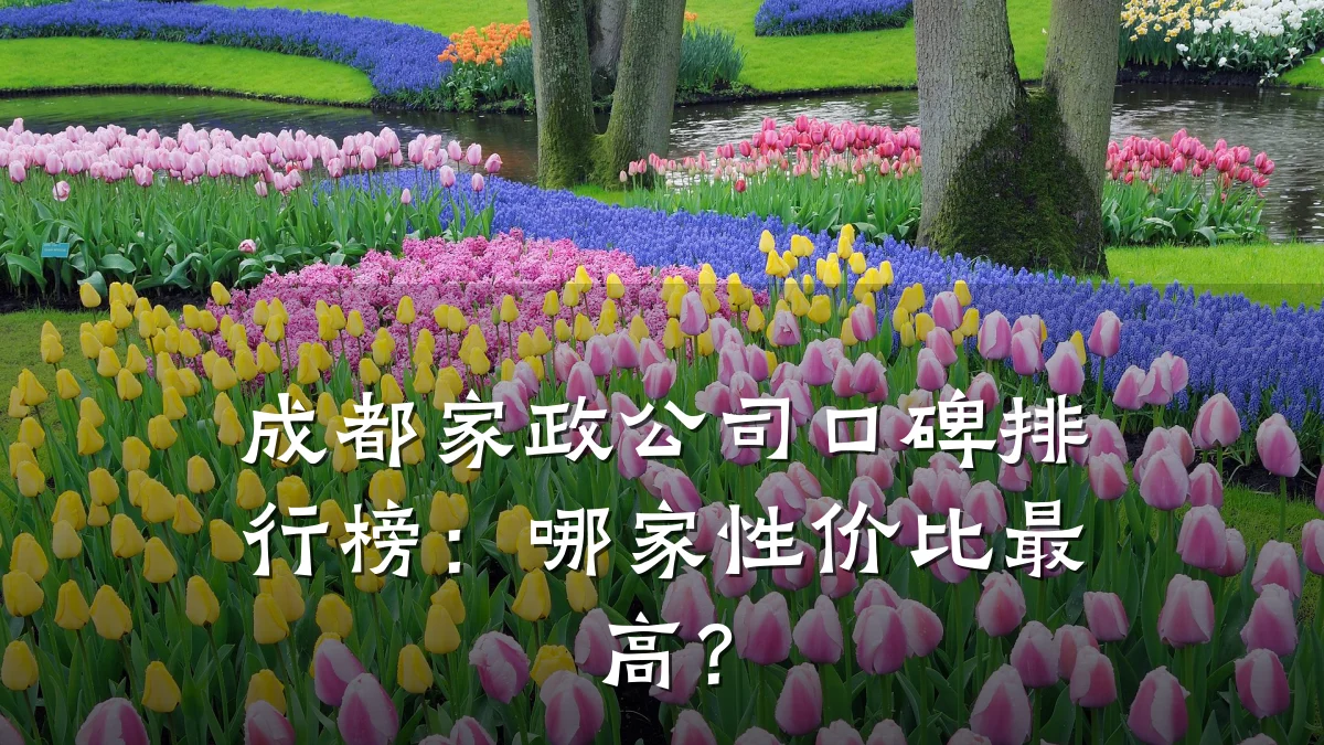 成都家政公司口碑排行榜:哪家性价比最高?