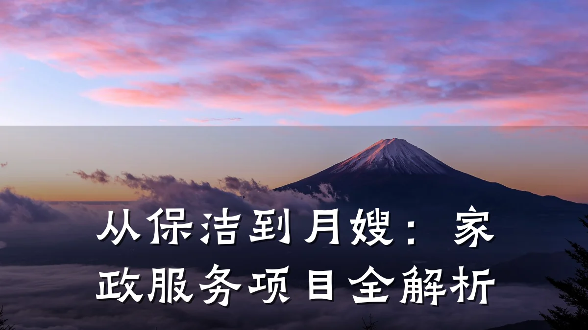从保洁到月嫂：家政服务项目全解析