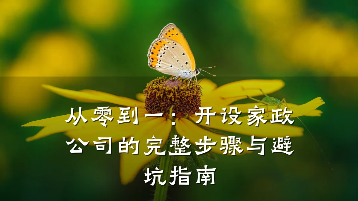 从零到一:开设家政公司的完整步骤与避坑指南