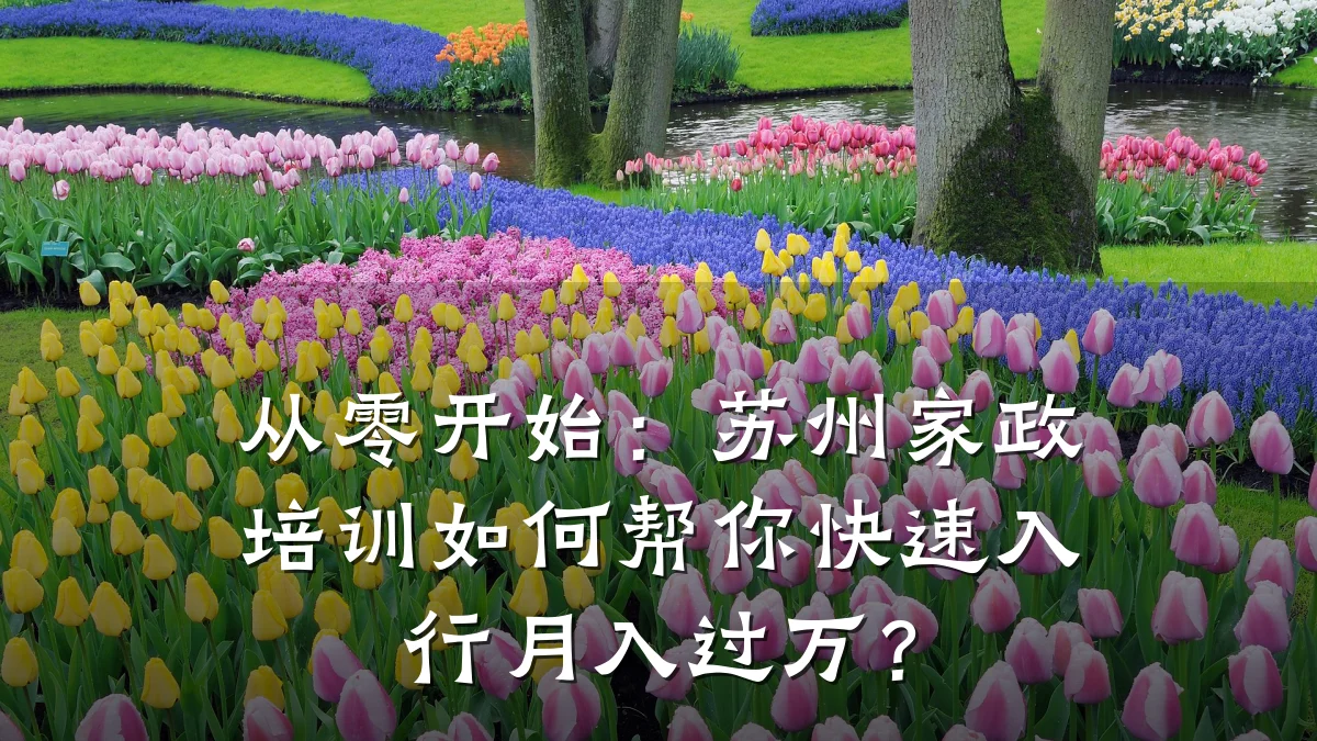 从零开始:苏州家政培训如何帮你快速入行月入过万?