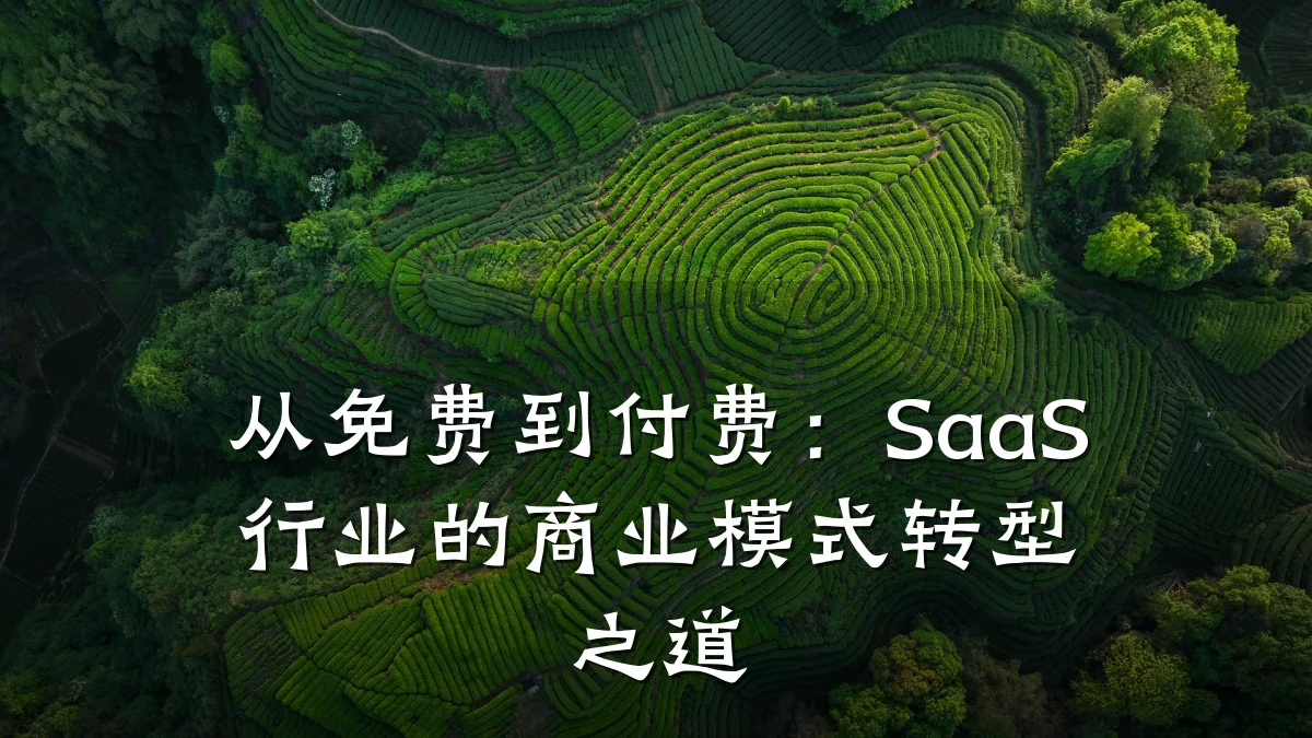 从免费到付费:SaaS行业的商业模式转型之道
