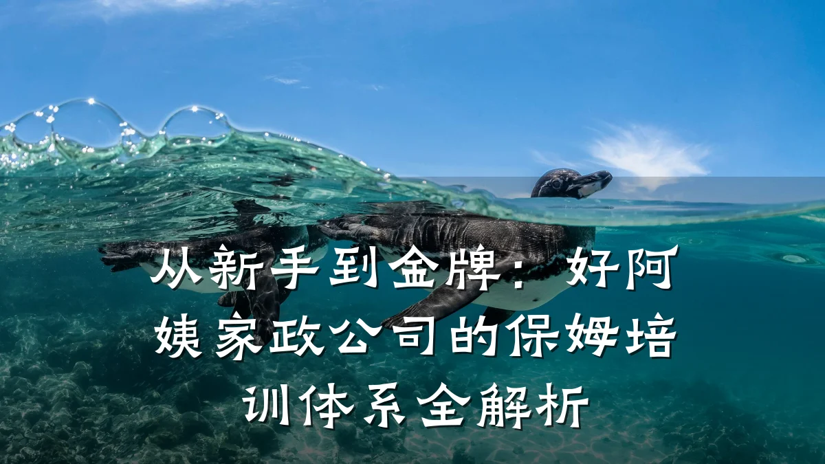 从新手到金牌：好阿姨家政公司的保姆培训体系全解析