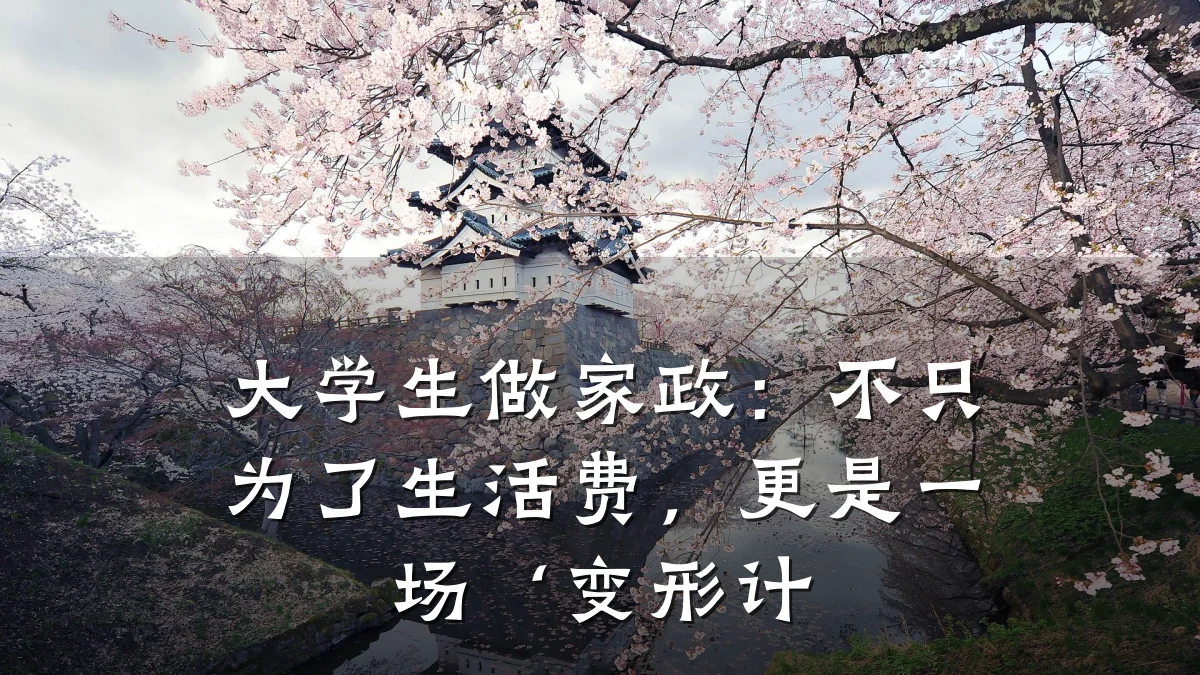 大学生做家政：不只为了生活费，更是一场‘变形计
