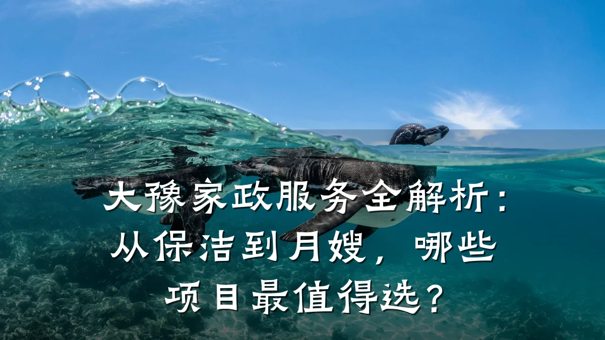 大豫家政服务全解析:从保洁到月嫂,哪些项目最值得选?