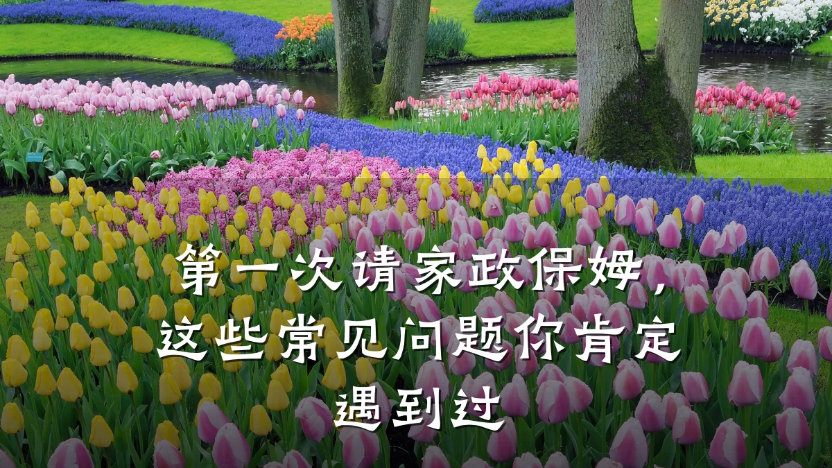 第一次请家政保姆，这些常见问题你肯定遇到过