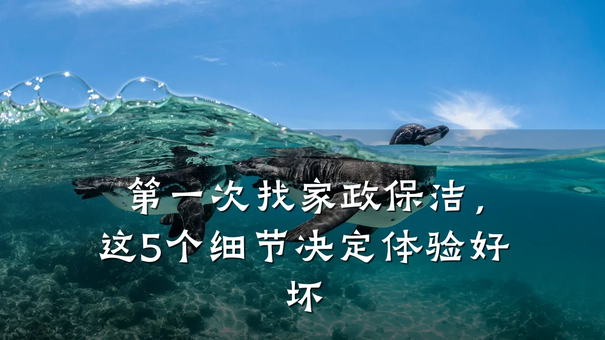 第一次找家政保洁,这5个细节决定体验好坏