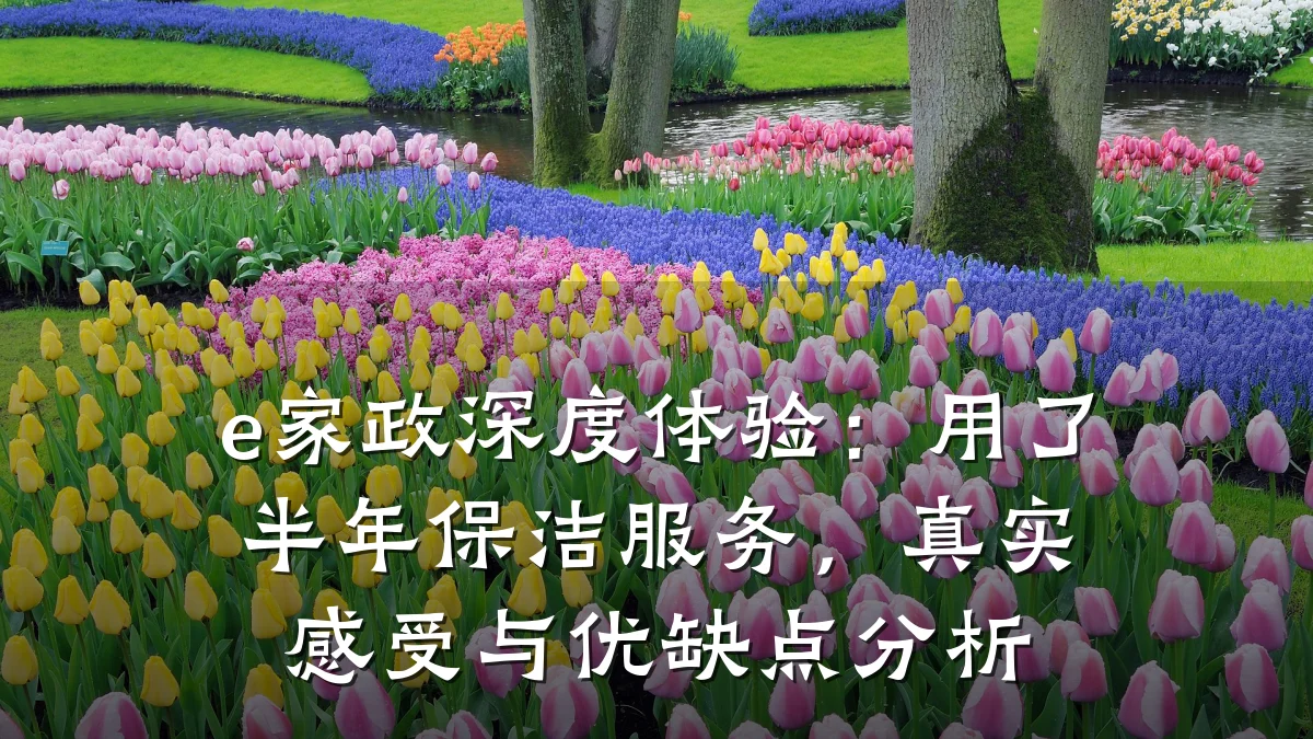 e家政深度体验:用了半年保洁服务,真实感受与优缺点分析