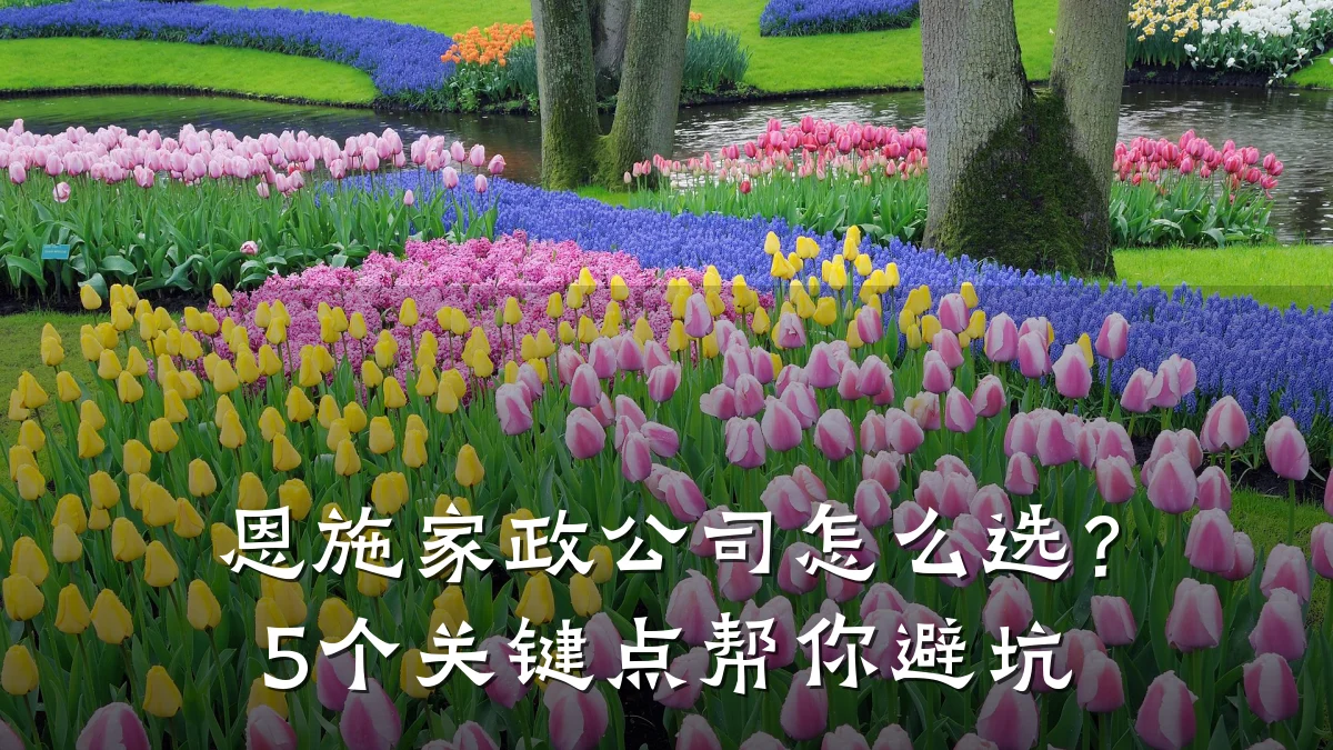 恩施家政公司怎么选?5个关键点帮你避坑