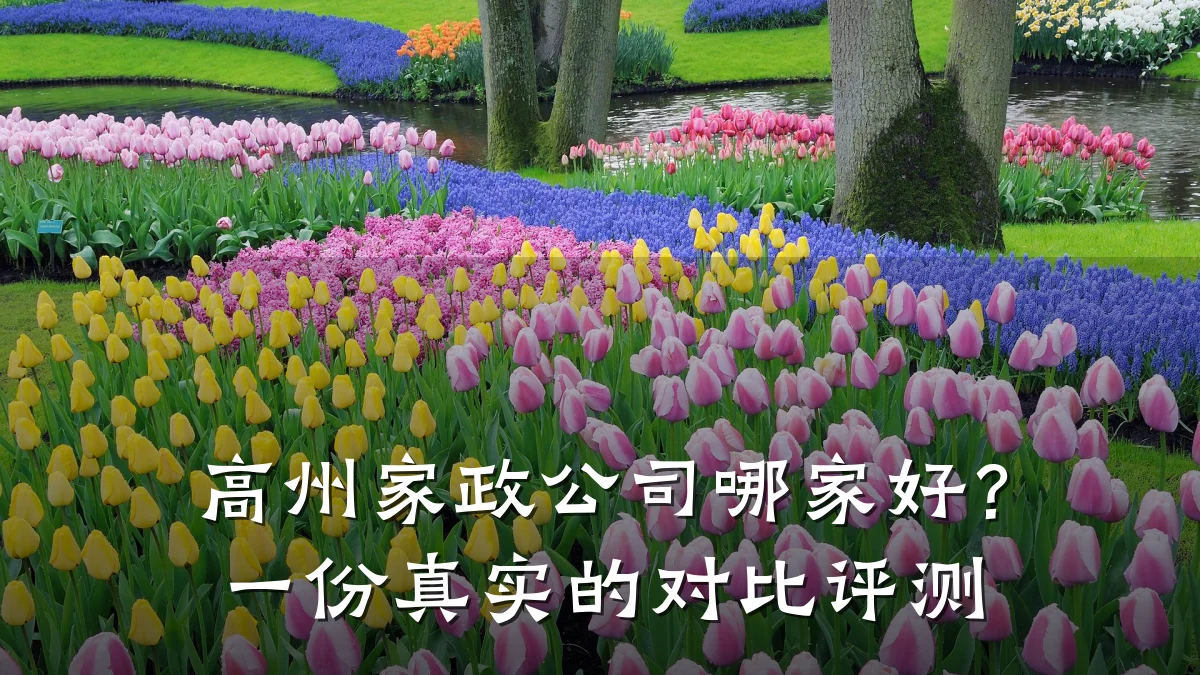高州家政公司哪家好？一份真实的对比评测