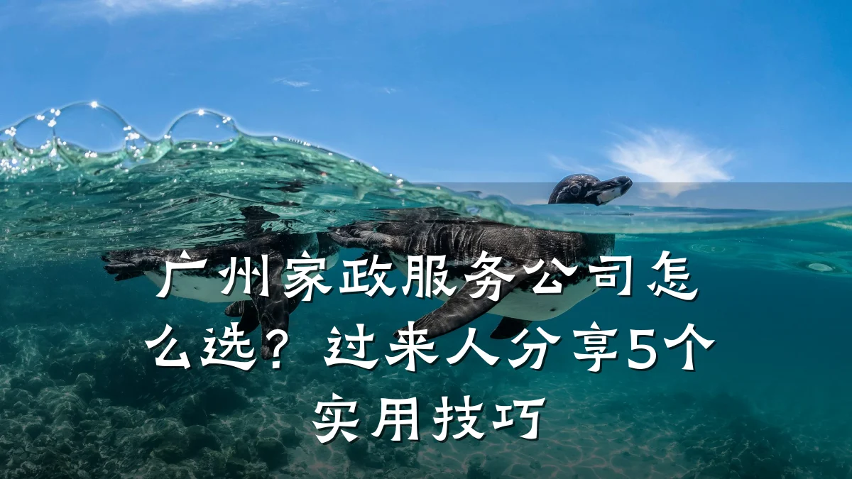 广州家政服务公司怎么选?过来人分享5个实用技巧