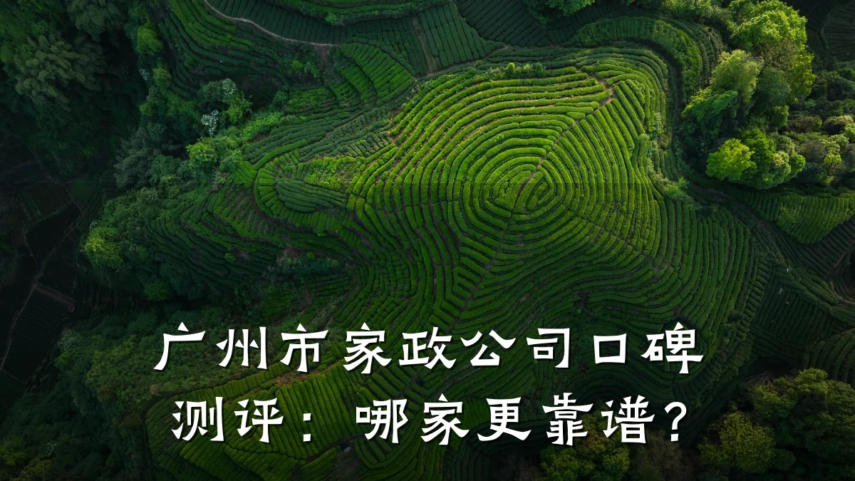 广州市家政公司口碑测评:哪家更靠谱?