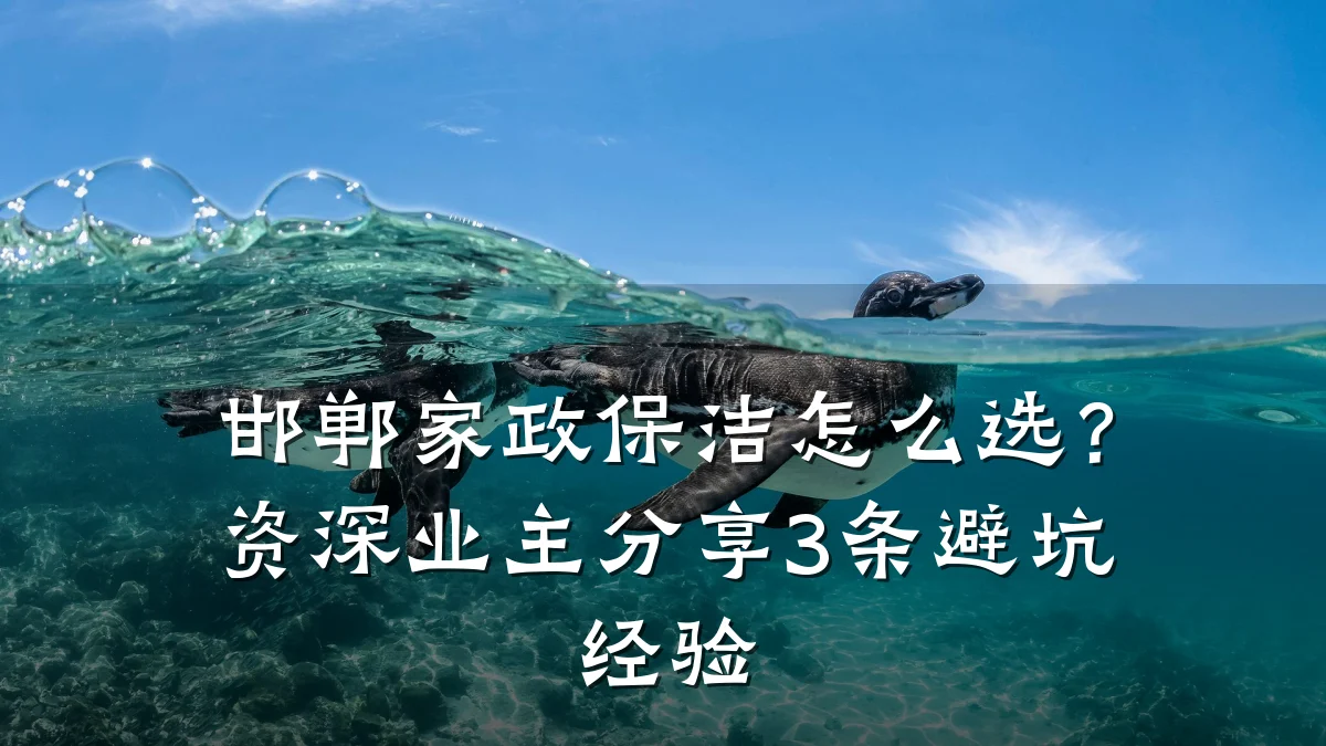 邯郸家政保洁怎么选?资深业主分享3条避坑经验