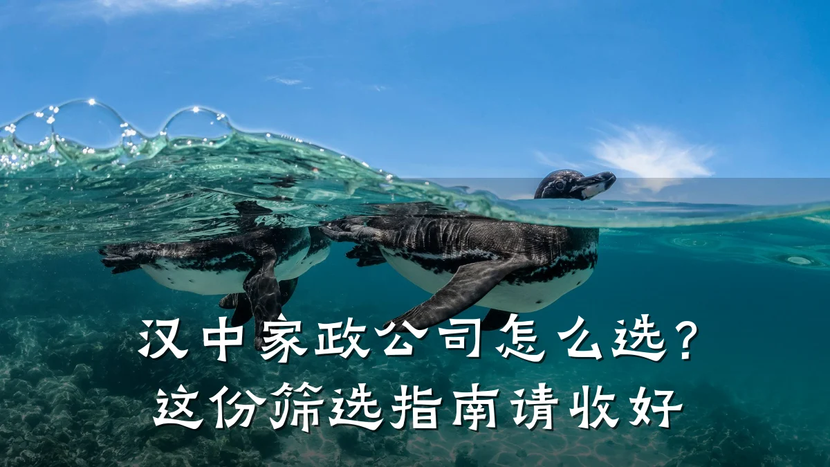 汉中家政公司怎么选?这份筛选指南请收好