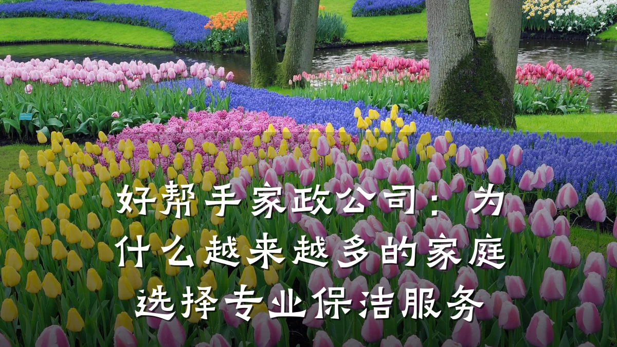 好帮手家政公司:为什么越来越多的家庭选择专业保洁服务