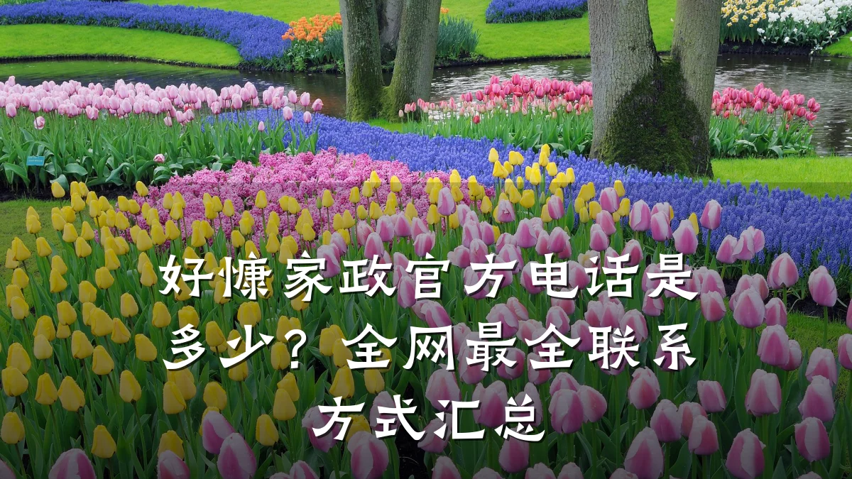 好慷家政官方电话是多少？全网最全联系方式汇总
