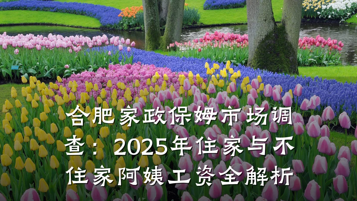 合肥家政保姆市场调查:2025年住家与不住家阿姨工资全解析