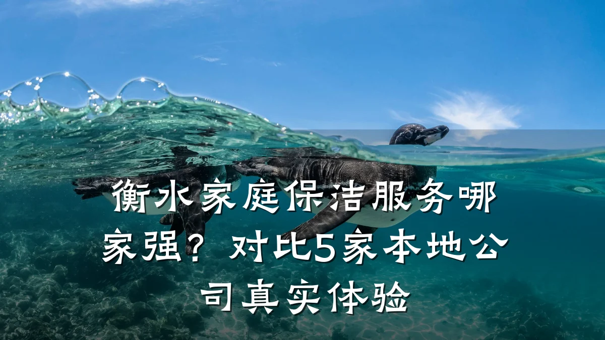 衡水家庭保洁服务哪家强？对比5家本地公司真实体验