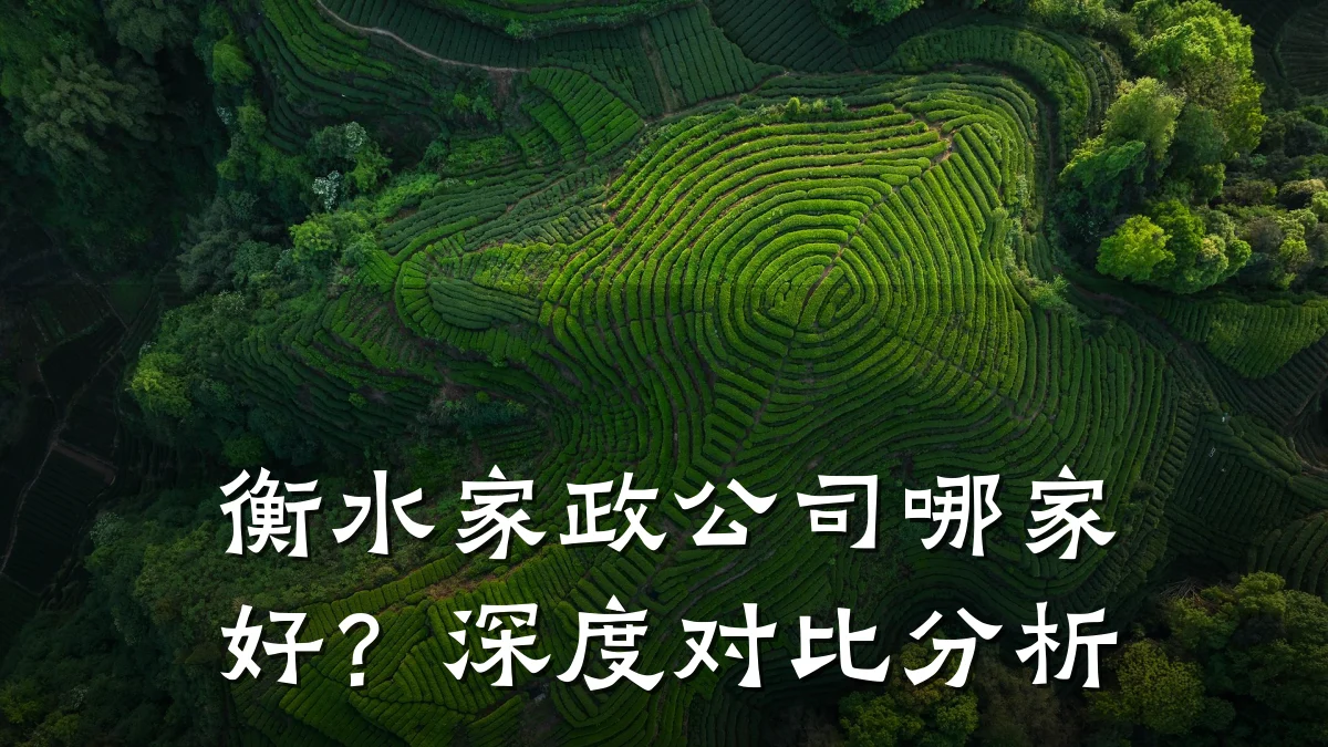 衡水家政公司哪家好?深度对比分析