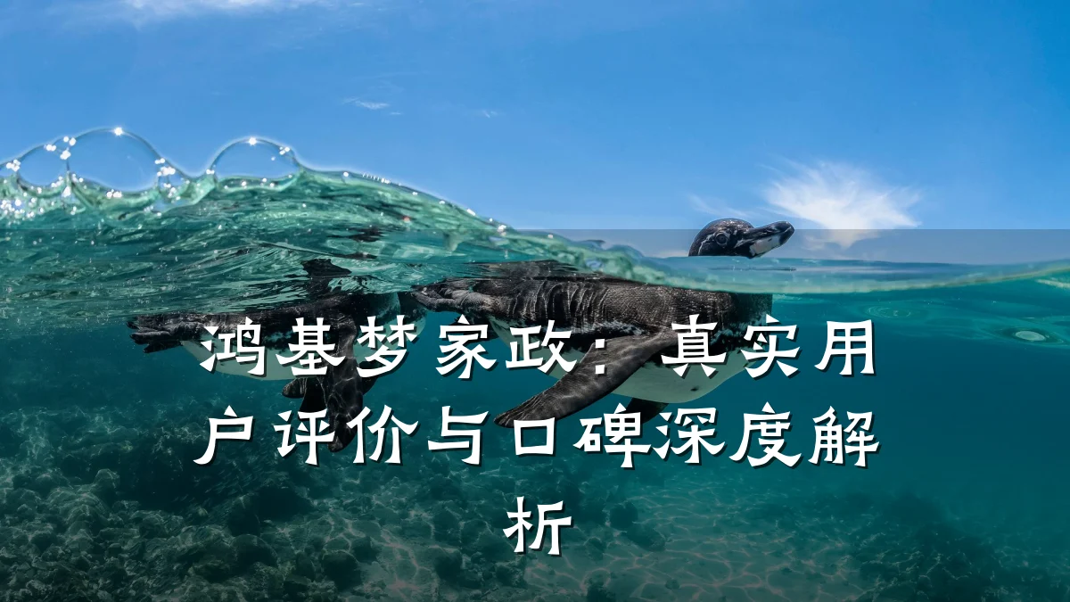 鸿基梦家政:真实用户评价与口碑深度解析