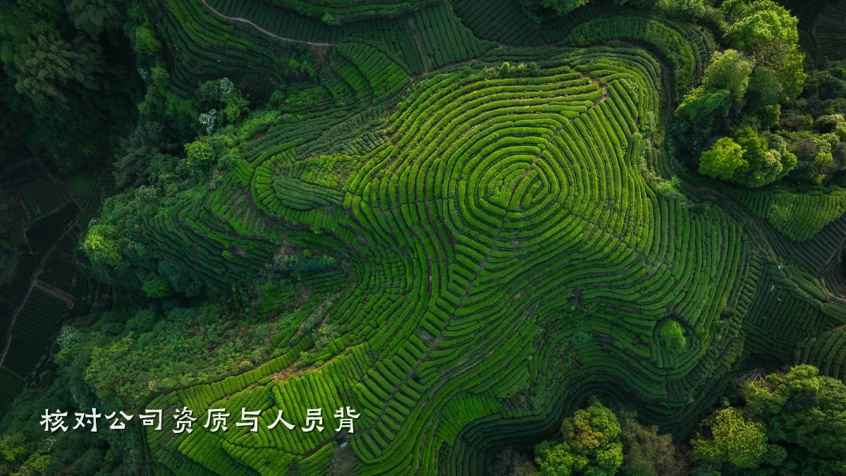 核对公司资质与人员背