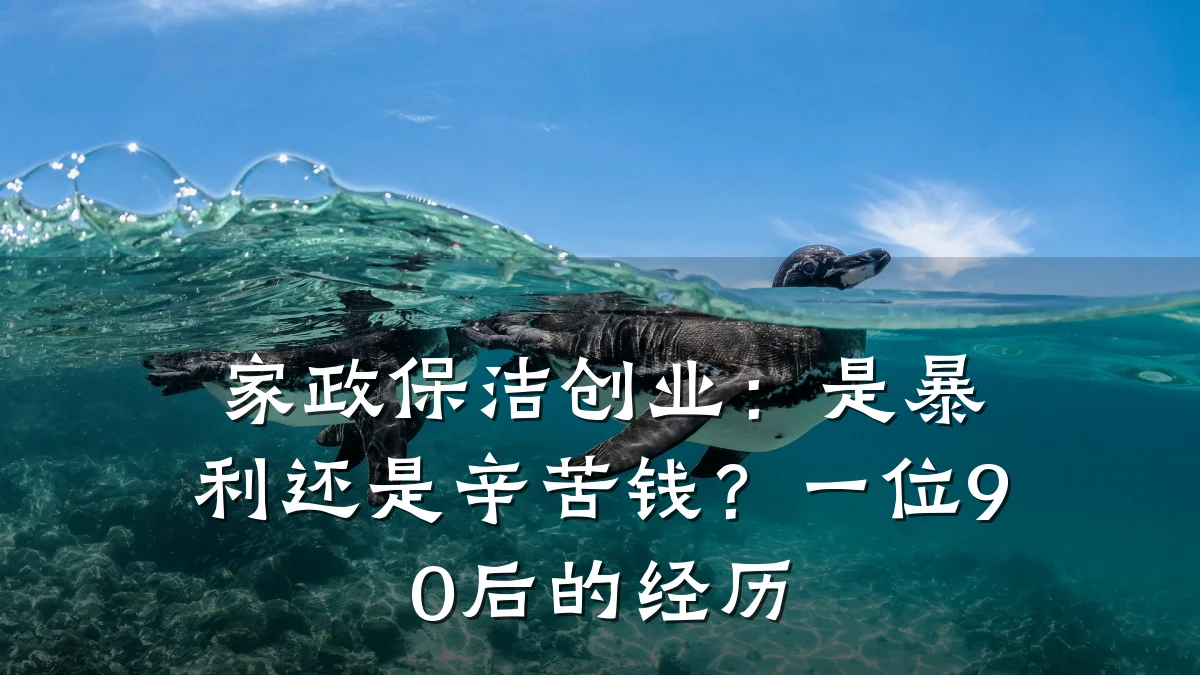 家政保洁创业:是暴利还是辛苦钱?一位90后的经历
