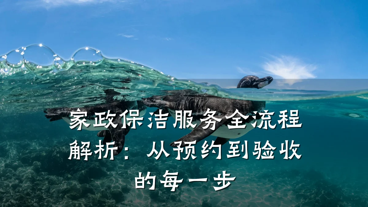 家政保洁服务全流程解析:从预约到验收的每一步