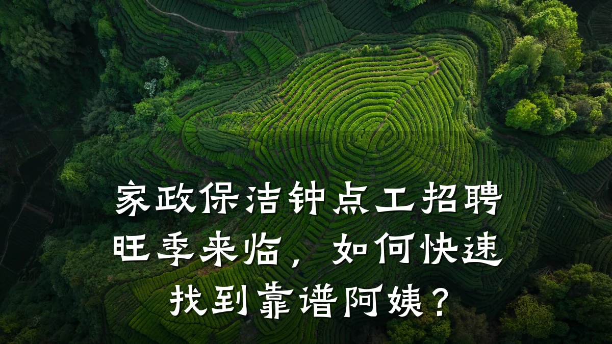 家政保洁钟点工招聘旺季来临,如何快速找到靠谱阿姨?