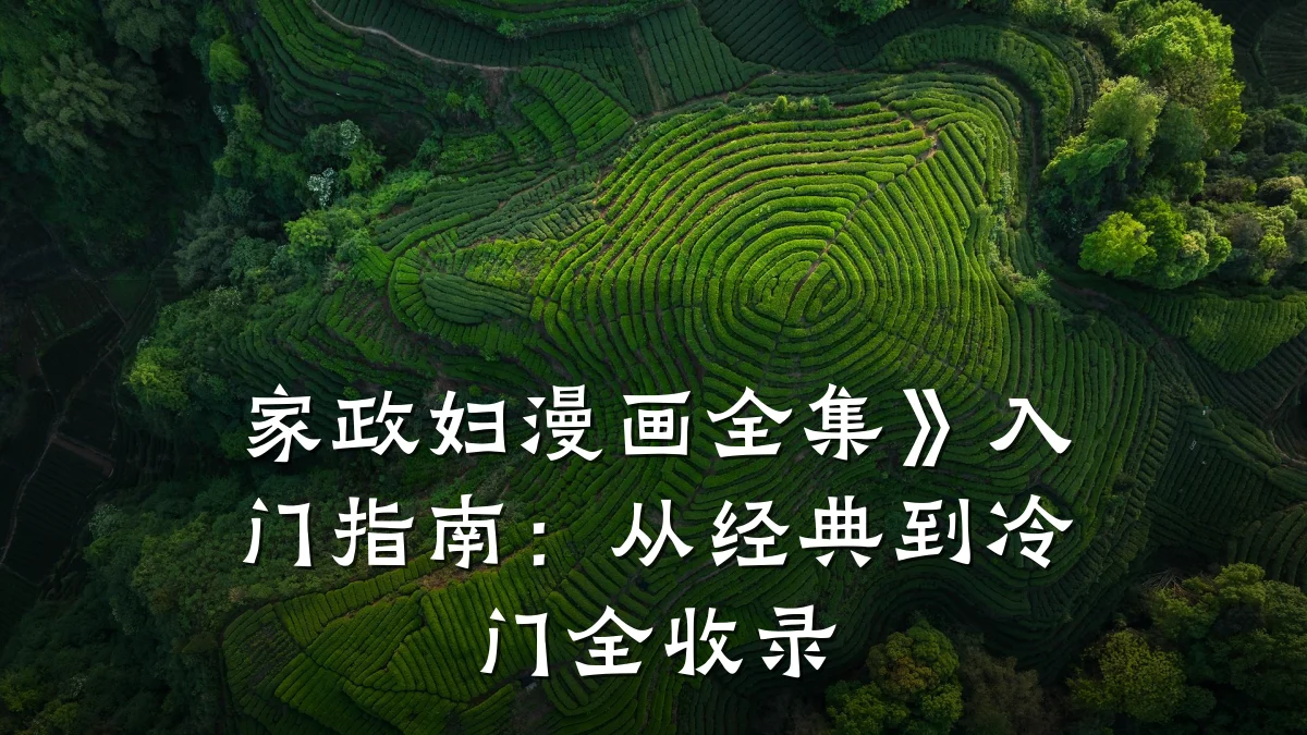 家政妇漫画全集》入门指南:从经典到冷门全收录