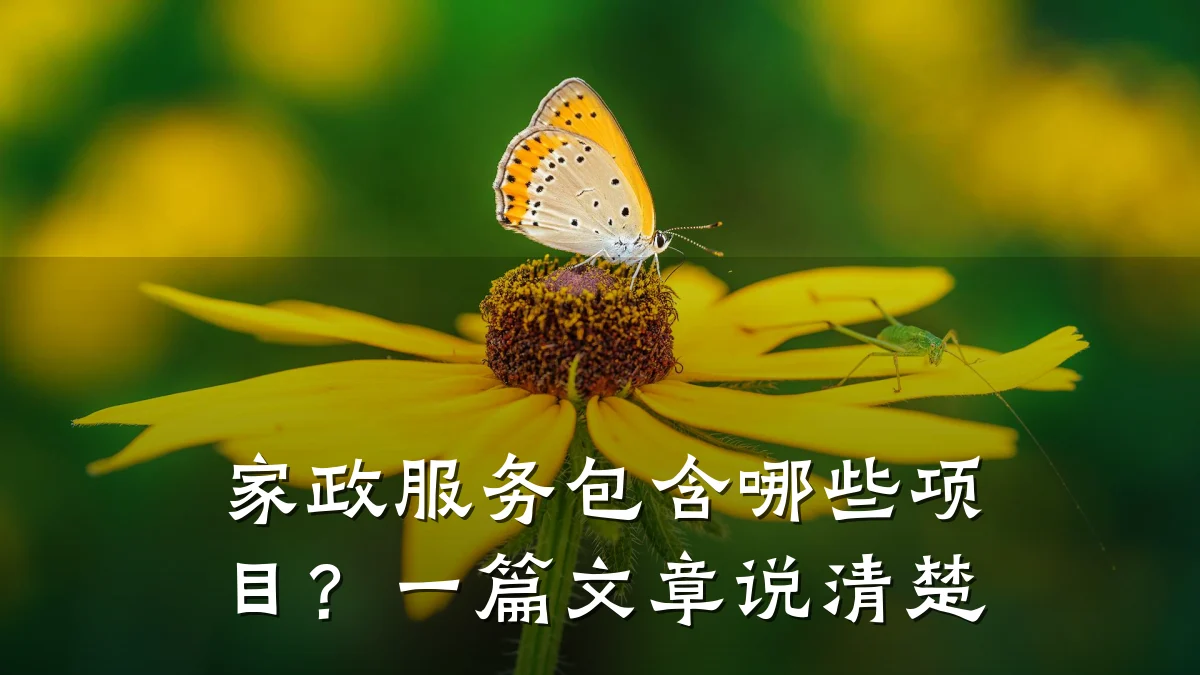 家政服务包含哪些项目？一篇文章说清楚