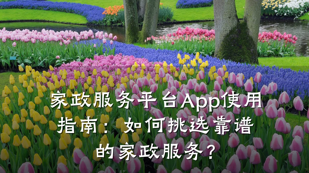 家政服务平台App使用指南:如何挑选靠谱的家政服务?