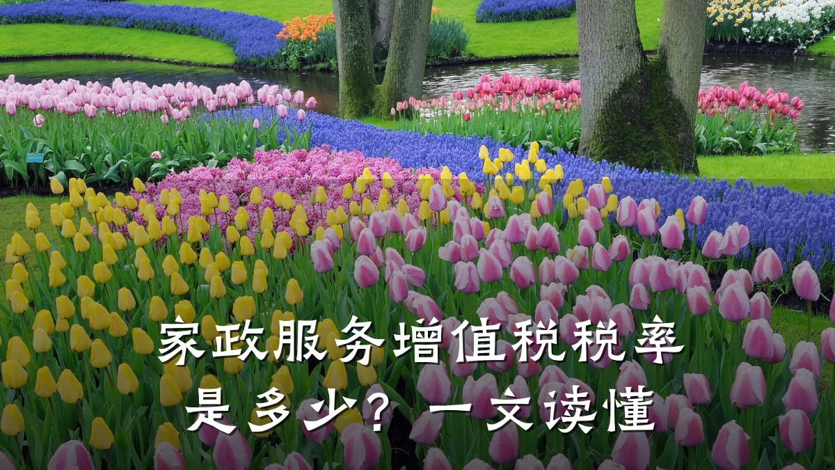 家政服务增值税税率是多少?一文读懂